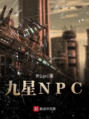 九星NPC