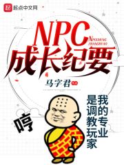 NPC成长纪要