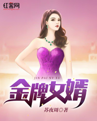 金牌女婿" width="120" height="150"