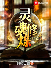 灵魂修炼指南" width="120" height="150"