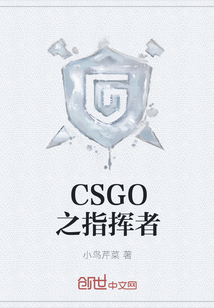 CSGO之指挥者