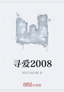 寻爱2008