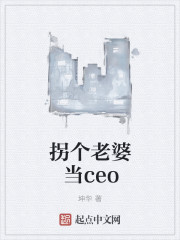 拐个老婆当ceo" width="120" height="150"