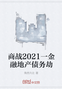 商战2021一金融地产债务劫