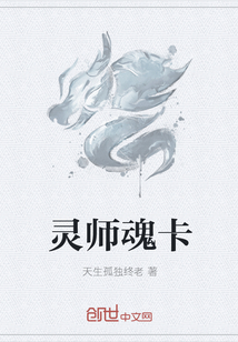 灵师魂卡