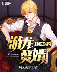 扶弟魔之游龙赘婿" width="120" height="150"
