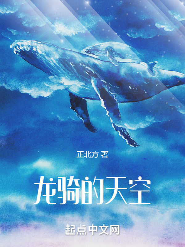 龙骑的天空" width="120" height="150"