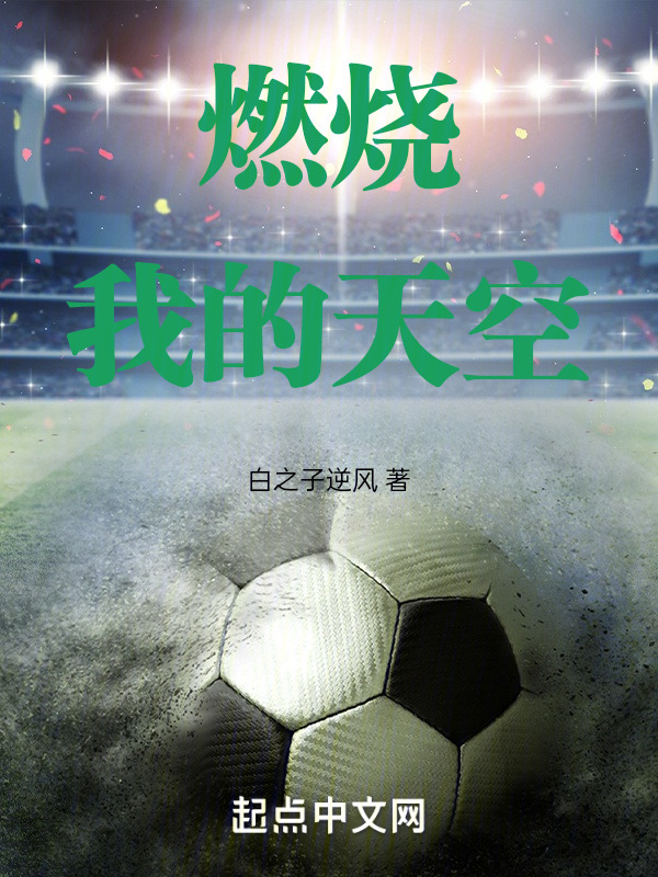 燃烧我的天空" width="120" height="150"