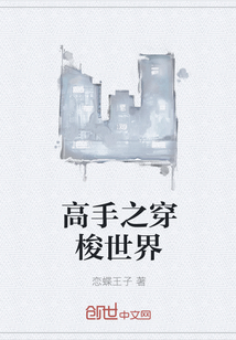 高手之穿梭世界" width="120" height="150"