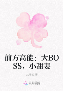 前方高能：大BOSS，小甜妻" width="120" height="150"