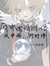 CH：风中雨何时停" width="120" height="150"