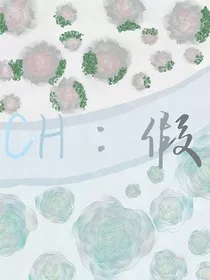 CH：假" width="120" height="150"