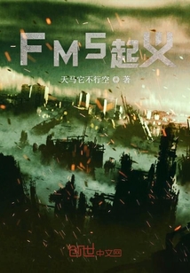 FMS起义