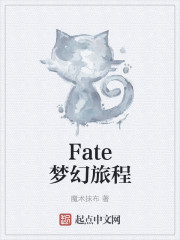 Fate梦幻旅程