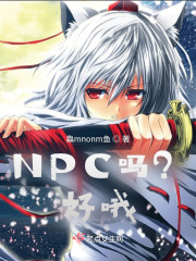 NPC吗？好哦