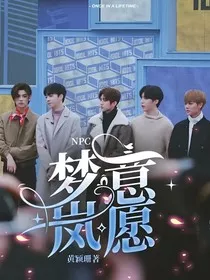 NPC：梦意岚愿" width="120" height="150"