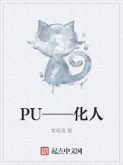 PU——化人