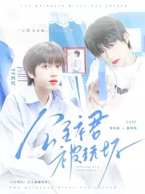 TF四代：公主裙被玩坏" width="120" height="150"