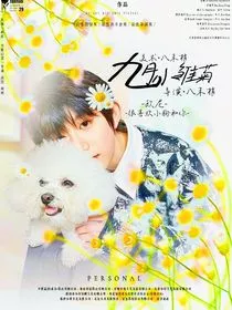 TF四代：九月小雏菊" width="120" height="150"