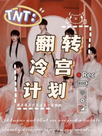 TNT：翻转冷宫计划