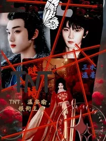 TNT：谜语" width="120" height="150"