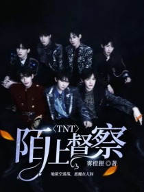 TNT：陌上督察