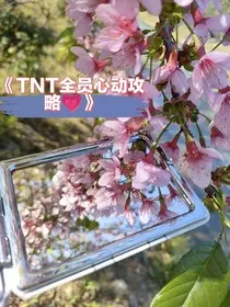 TNT：全员心动攻略" width="120" height="150"