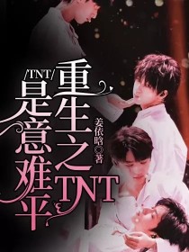 TNT：重生之TNT是意难平