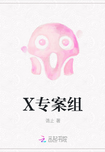 X专案组