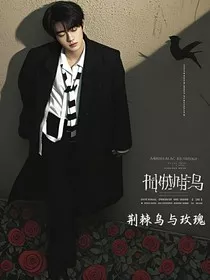 all轩：荆棘鸟与玫瑰" width="120" height="150"