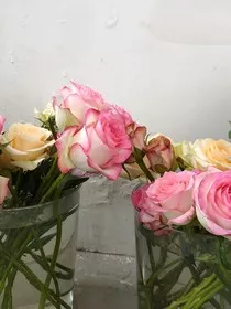 暗恋，无风起念" width="120" height="150"