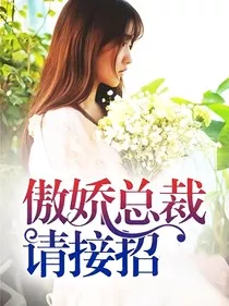 傲娇总裁请接招" width="120" height="150"