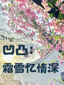 凹凸：霜雪忆情深" width="120" height="150"
