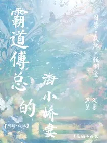 霸道傅总的海小娇妻" width="120" height="150"