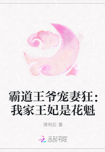 霸道王爷宠妻狂：我家王妃是花魁