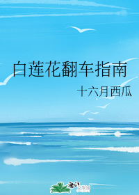 白莲花翻车指南" width="120" height="150"
