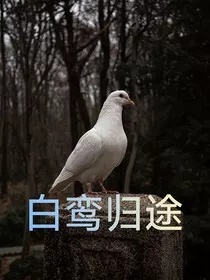 白鸾归途" width="120" height="150"