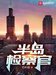 半岛检察官" width="120" height="150"