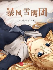 暴风雪鹰团" width="120" height="150"