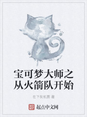 宝可梦大师之从火箭队开始