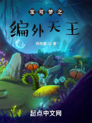 宝可梦之编外天王" width="120" height="150"