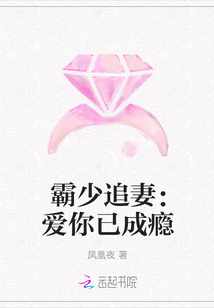 霸少追妻：爱你已成瘾