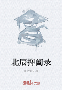 北辰捭阖录" width="120" height="150"
