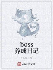 boss养成日记