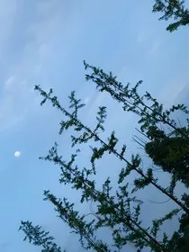 不朽仙帝：绝脉重临" width="120" height="150"