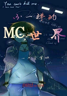 不一样的mc世界