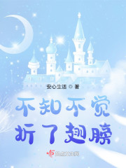 不知不觉折了翅膀" width="120" height="150"
