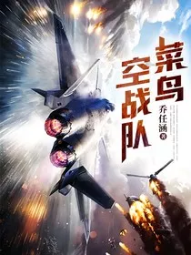菜鸟空战队" width="120" height="150"