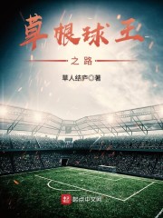 草根球王之路" width="120" height="150"