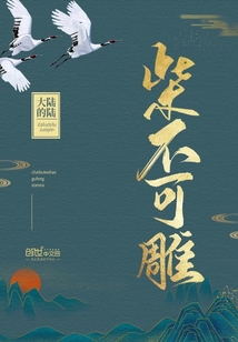 柴不可雕" width="120" height="150"